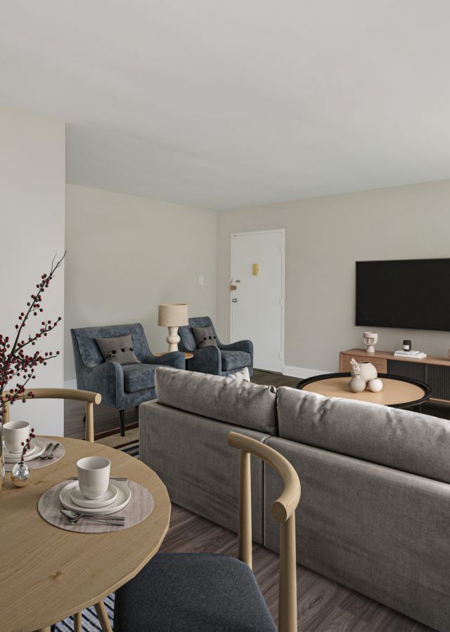 A modern living room with a gray sofa, TV, dining table, armchairs, and a potted plant by the window.